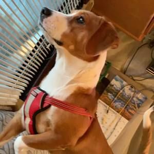 Meet your Posher, Timothy